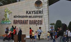 BAYRAM'DA HAYVANAT BAHÇESİ'Nİ 100 BİN KİŞİ ZİYARET ETTİ