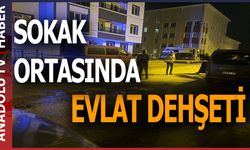 Annesiyle boşanma aşamasındaki babasını sokak ortasında bıçakladı