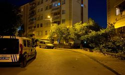 Çocuk gürültüsü tartışmasında kan aktı