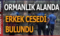 ORMANLIK ALANDA ERKEK CESEDİ BULUNDU