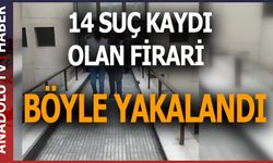 Polisi gören firari, çimlere yatıp ölü taklidi yaptı!