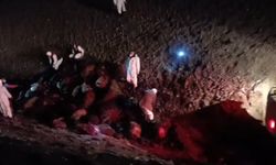 Iğdır’da arı saldırısının bilançosu: 816 koyun telef