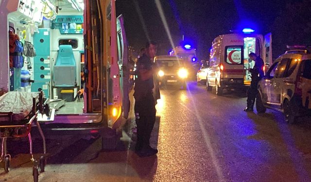 Amca, iki yeğenini silahla vurarak öldürdü