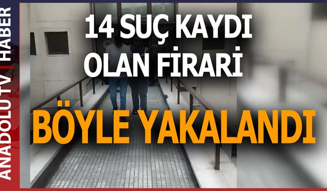 Polisi gören firari, çimlere yatıp ölü taklidi yaptı!