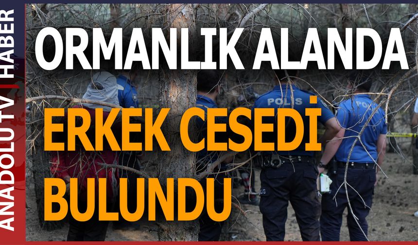 ORMANLIK ALANDA ERKEK CESEDİ BULUNDU