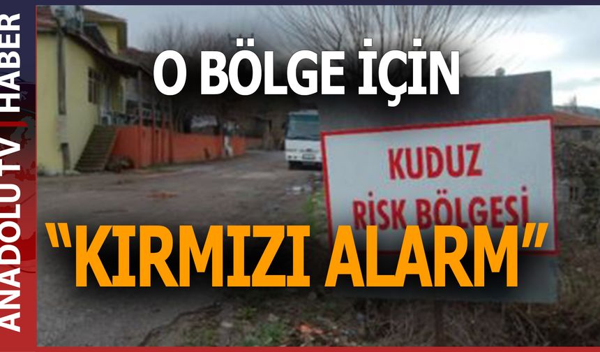 Kars'ta kuduz alarmı! Bir belde karantinaya alındı