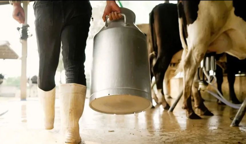 Çiğ süt fiyatlarından yeni rakam!